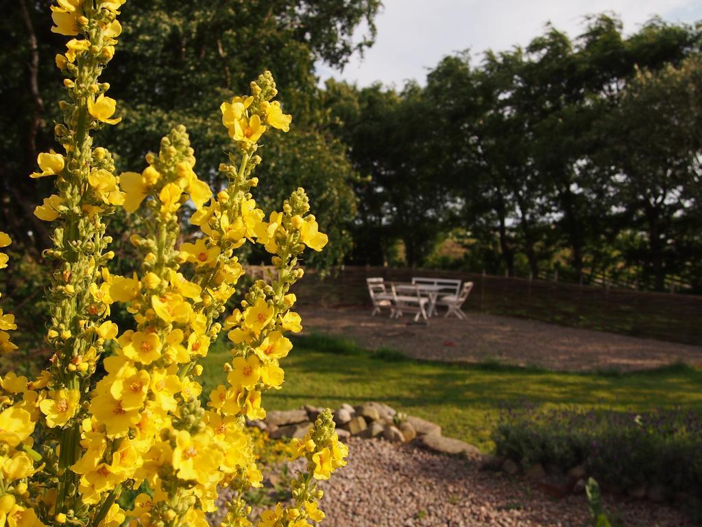 Augustas Bed & Breakfast Bed & Breakfast Falkenberg Dış mekan fotoğraf