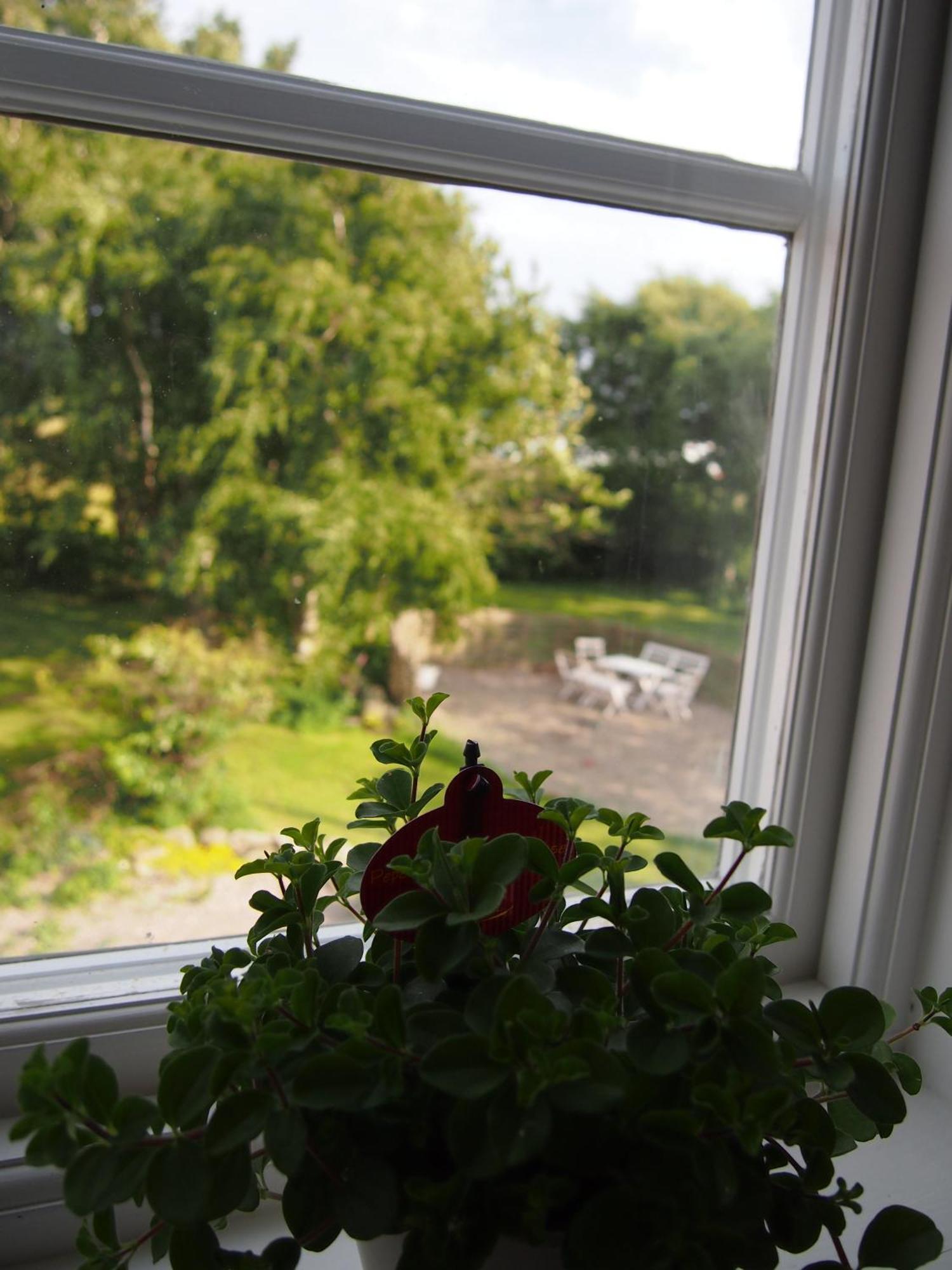 Augustas Bed & Breakfast Bed & Breakfast Falkenberg Oda fotoğraf
